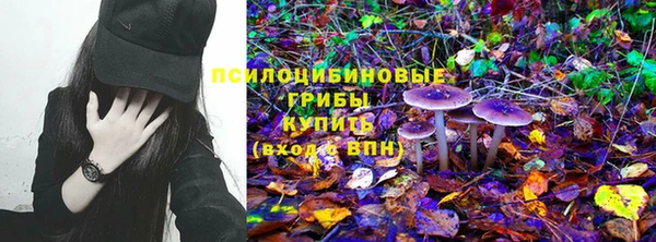 гидропоника Дмитров