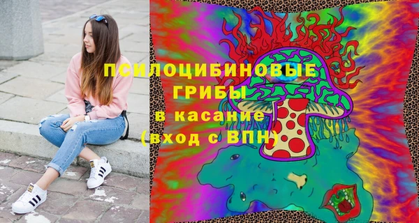 PSILOCYBIN Дмитровск