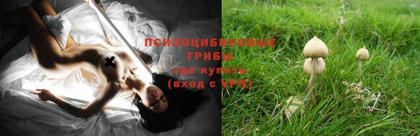 PSILOCYBIN Дмитровск