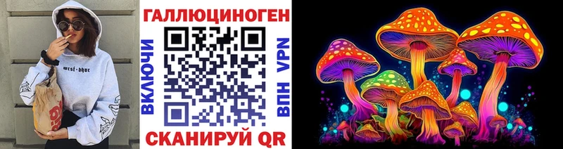 Галлюциногенные грибы прущие грибы  Купить где  Чаплыгин 